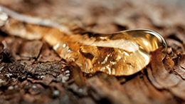 ロジン(松ヤニ)を含まない、フィルムワックスシリーズ